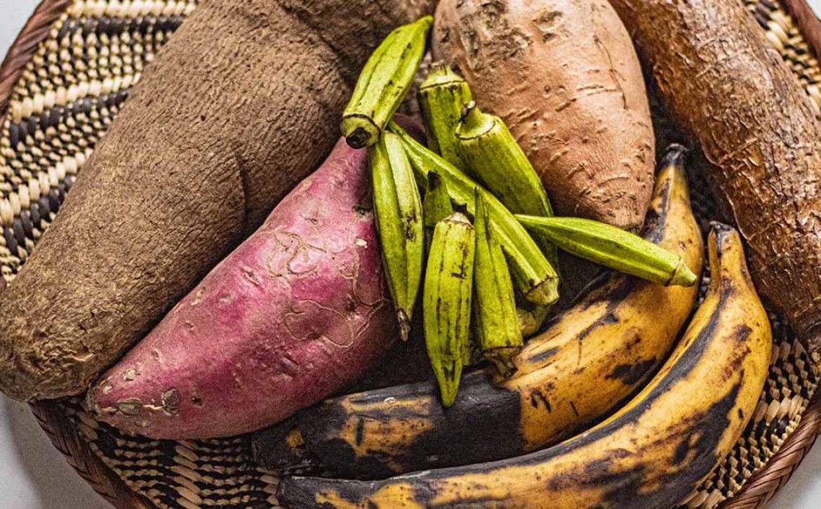 ARTI_0014_2024-02-23-09-11-03-IMG_Blog_Legumes-africains-part2