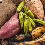 Côte d’Ivoire : le Gouvernement lève la mesure de suspension temporaire d’exportation de la banane plantain, du manioc et ses dérivés ainsi que l’igname (22 /02/ 2024)