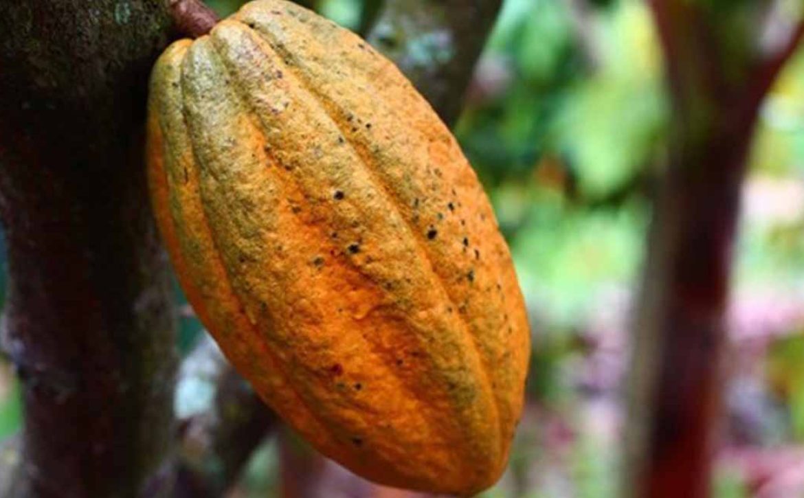 ARTI_0032_2023-07-17-13-30-50-vb