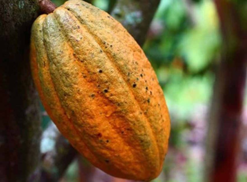 ARTI_0032_2023-07-17-13-30-50-vb