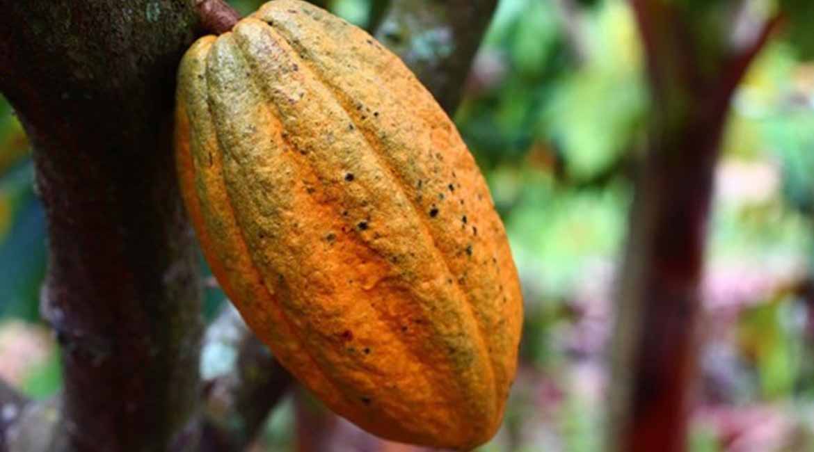 ARTI_0032_2023-07-17-13-30-50-vb