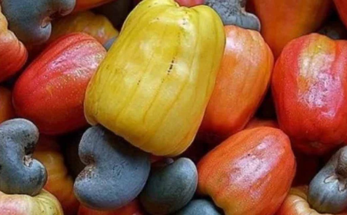 ARTI_0033_2023-07-17-13-28-40-anarcade