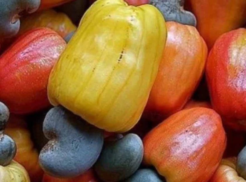 ARTI_0033_2023-07-17-13-28-40-anarcade