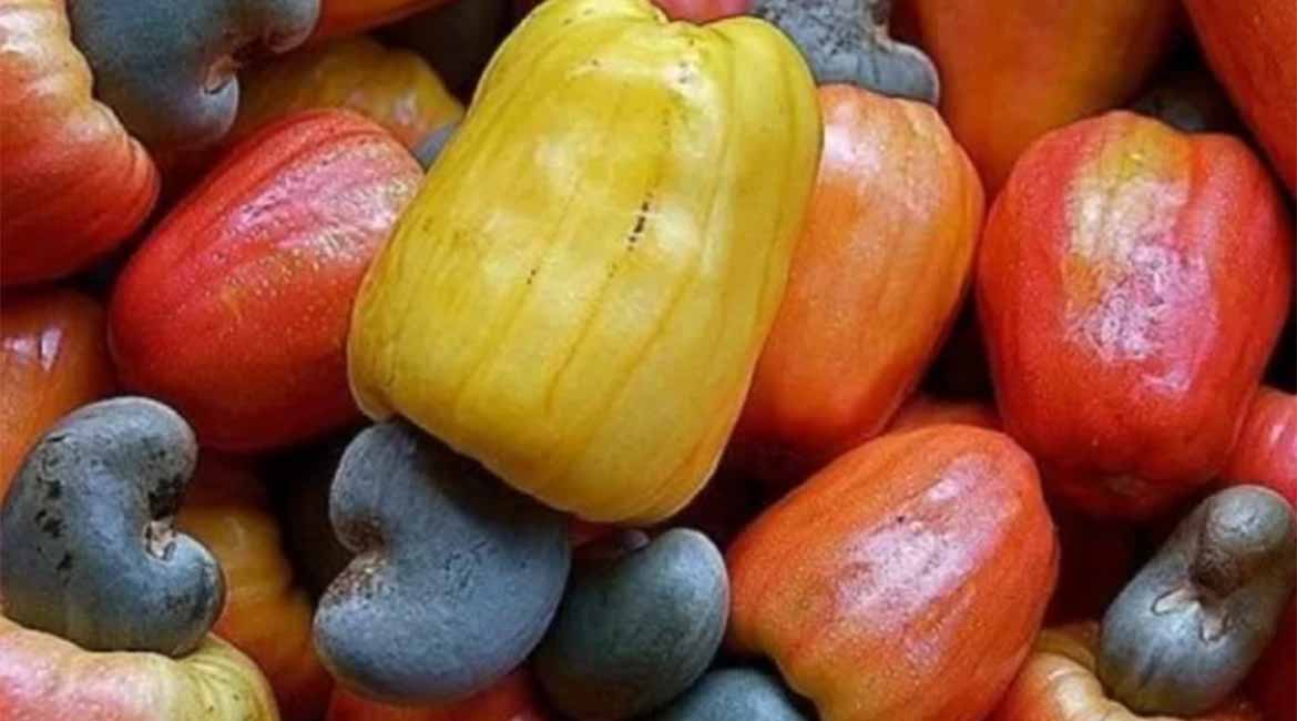 ARTI_0033_2023-07-17-13-28-40-anarcade