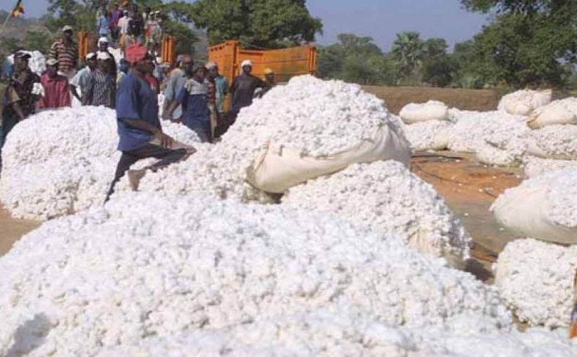 ARTI_0045_2023-01-06-14-48-36-e018efc8b14d81f55fecb504adf2973a_XL