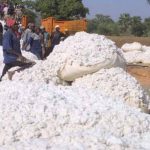 Filière coton : L’Observatoire et les experts font des recommandations pour la compétitivité du secteur (1er /12/ 2022)