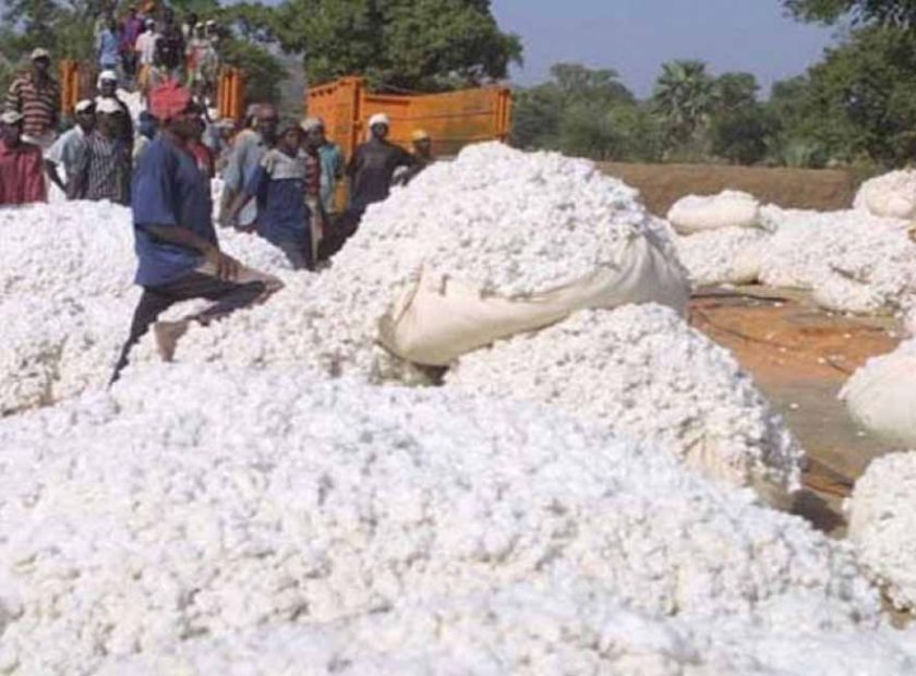 ARTI_0045_2023-01-06-14-48-36-e018efc8b14d81f55fecb504adf2973a_XL