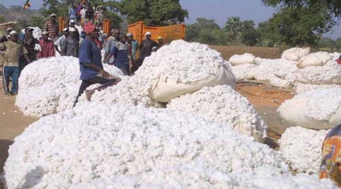 ARTI_0045_2023-01-06-14-48-36-e018efc8b14d81f55fecb504adf2973a_XL