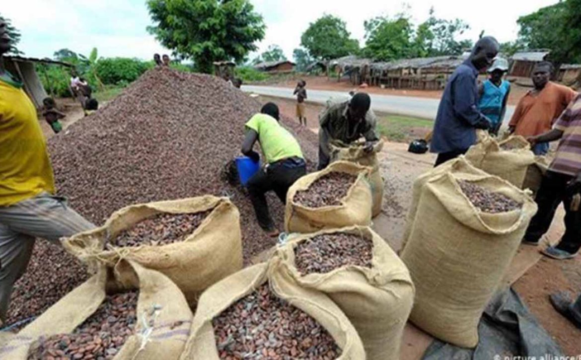 ARTI_0068_2021-02-24-12-06-50-bb