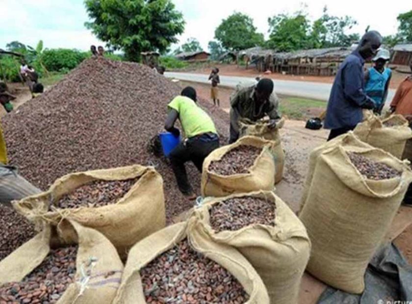 ARTI_0068_2021-02-24-12-06-50-bb