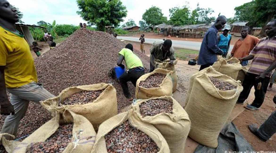 ARTI_0068_2021-02-24-12-06-50-bb