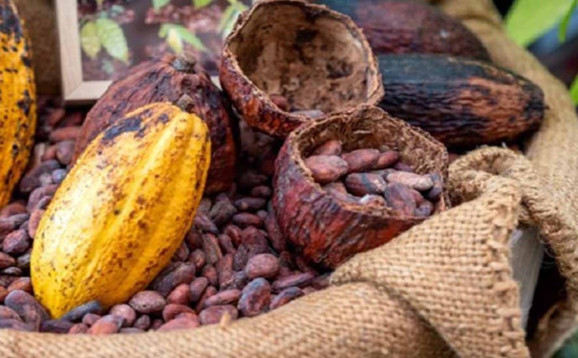 ARTI_0072_2021-02-15-14-43-48-gg