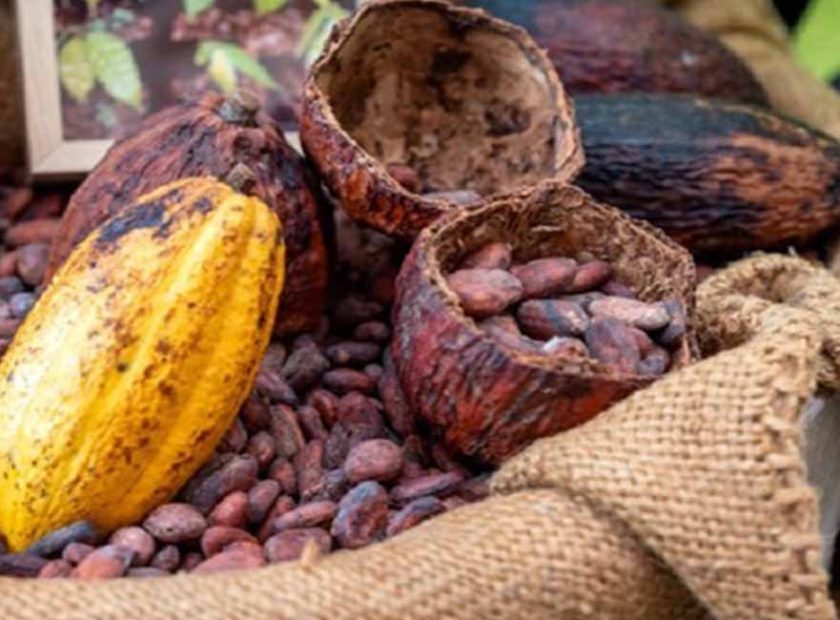 ARTI_0072_2021-02-15-14-43-48-gg