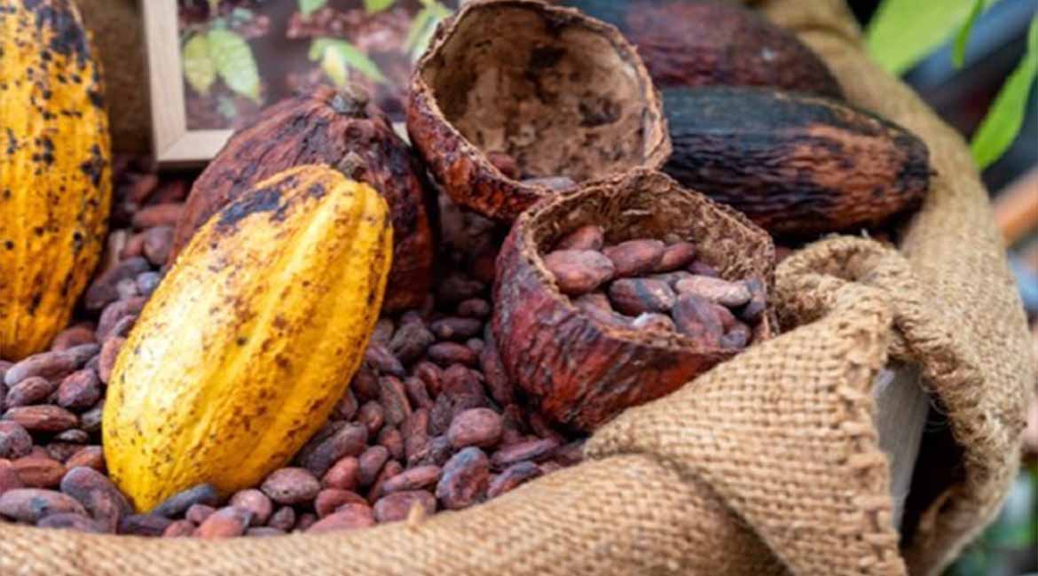 ARTI_0072_2021-02-15-14-43-48-gg